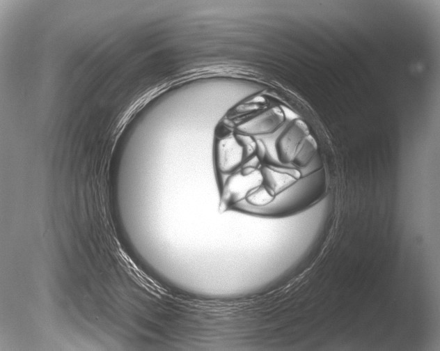 X0000086250930200703291031