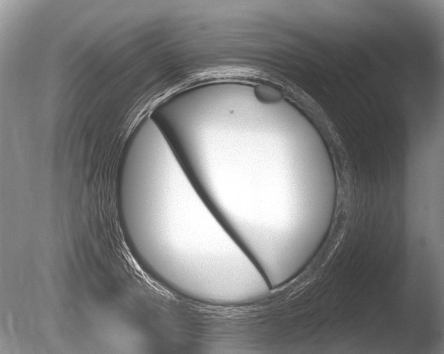 X0000086250937200703291031