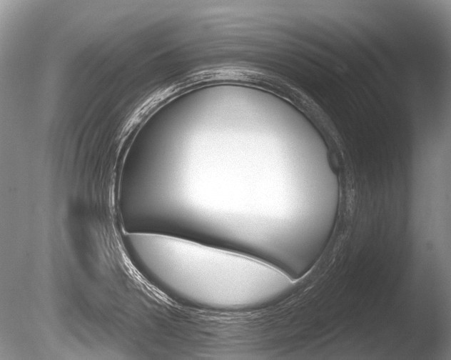 X0000086250938200703291031