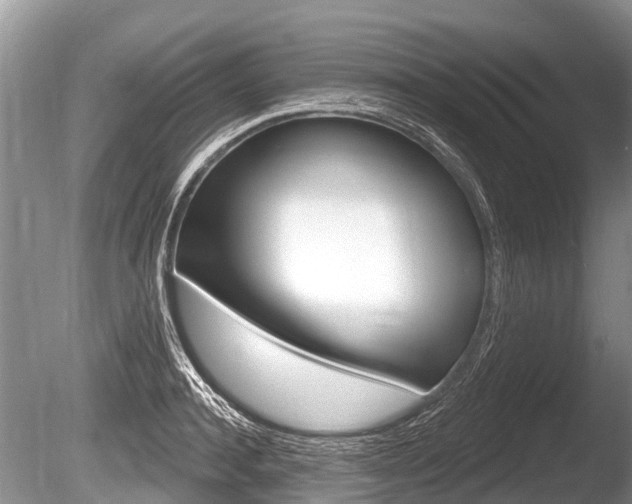 X0000086250944200703291032