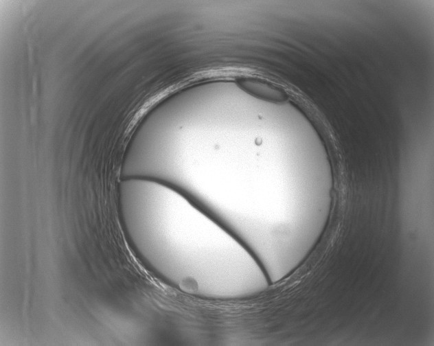 X0000086250945200703291032