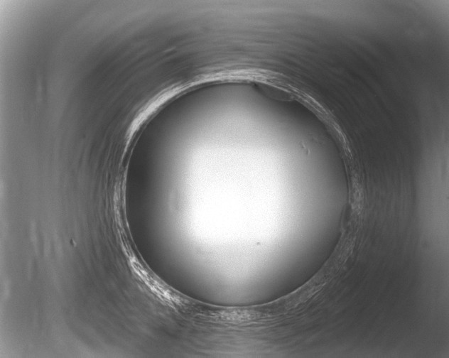 X0000086250952200703291032
