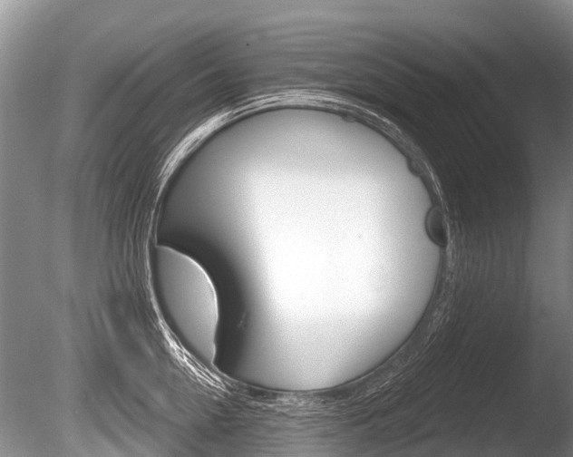 X0000086250954200703291032