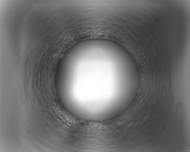 X0000086250961200703291031