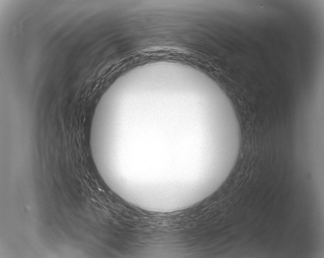 X0000086250965200703291031