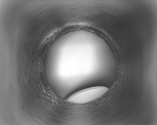 X0000086250967200703291031
