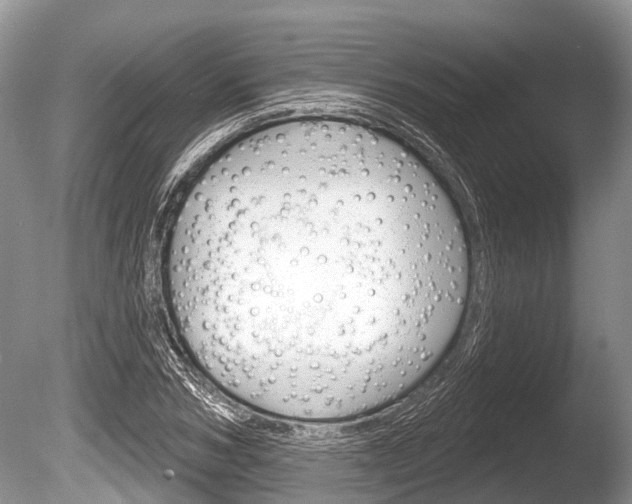 X0000086250978200703291031