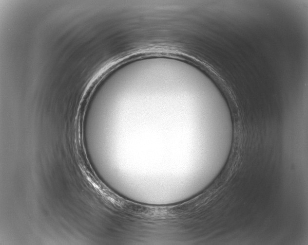 X0000086250982200703291031