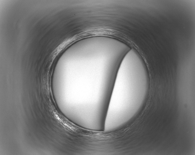 X0000086250986200703291031