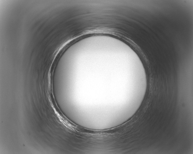 X0000086250988200703291031