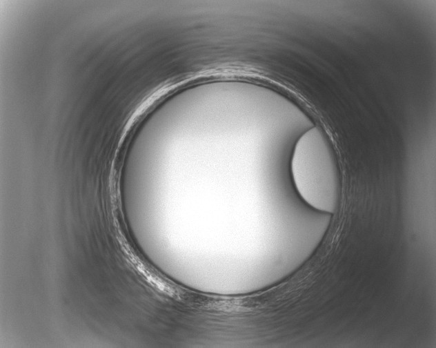 X0000086250990200703291030