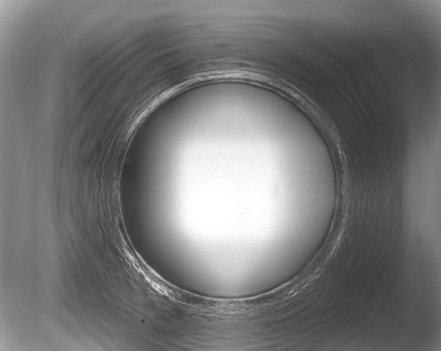 X0000086250993200703291030