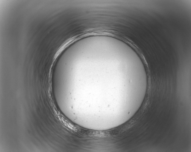 X0000086251002200703291030