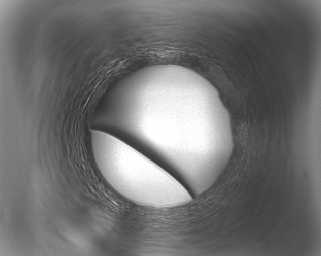 X0000086251009200703291029