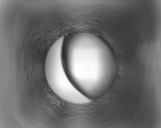 X0000086251010200703291029