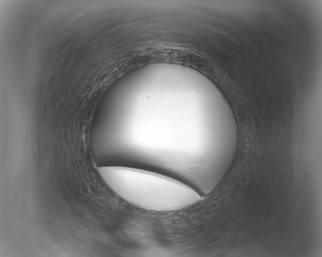 X0000086251013200703291029