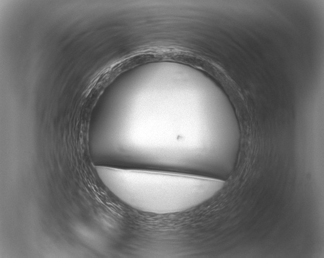 X0000086251016200703291029