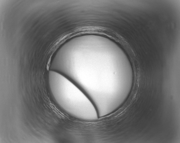 X0000086251017200703291029