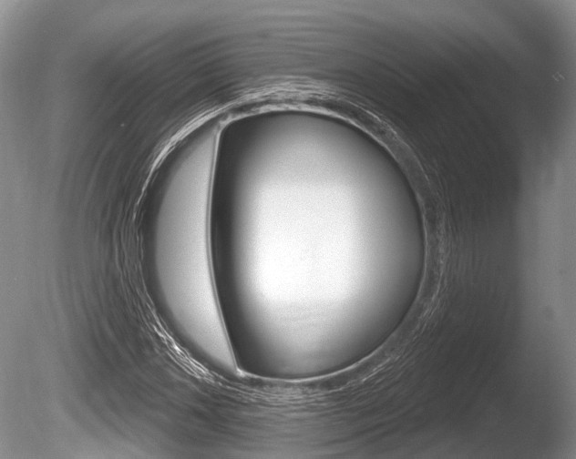 X0000086251018200703291029