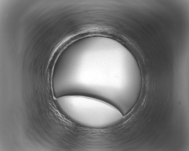 X0000086251021200703291030
