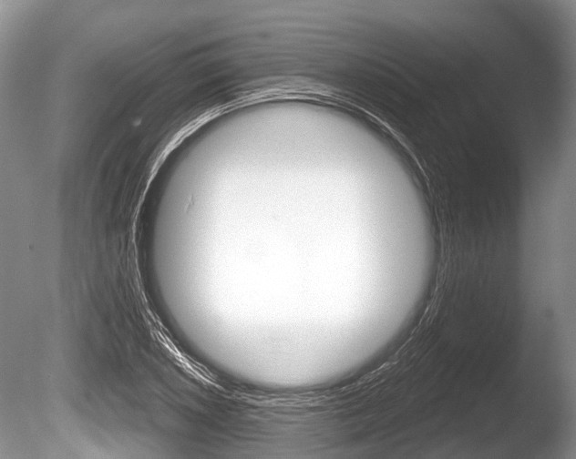 X0000086251026200703291030