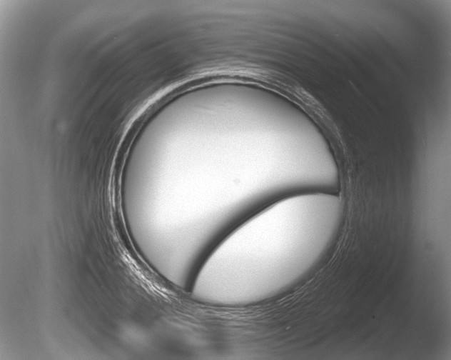 X0000086251028200703291030