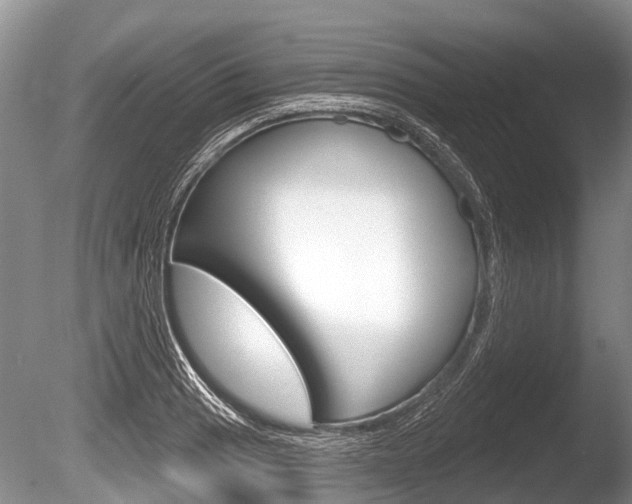 X0000086251033200703291030