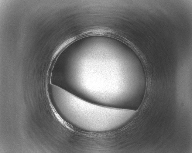 X0000086251042200703291030