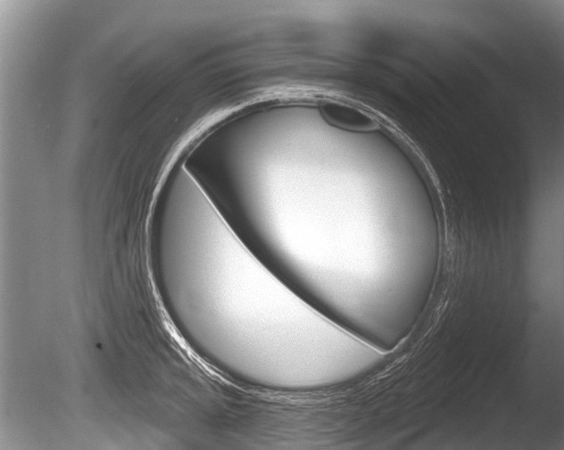 X0000086251045200703291030