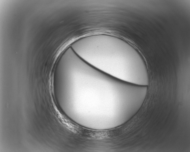 X0000086251047200703291030