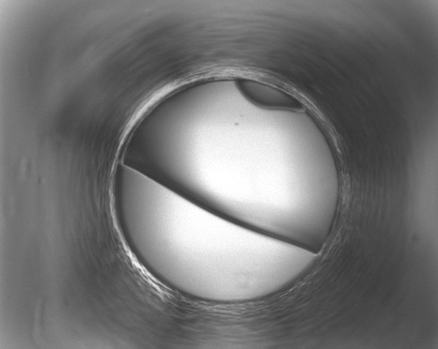 X0000086251048200703291030