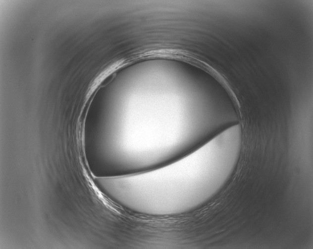 X0000086251050200703291030