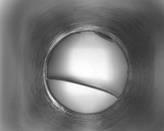 X0000086251055200703291030