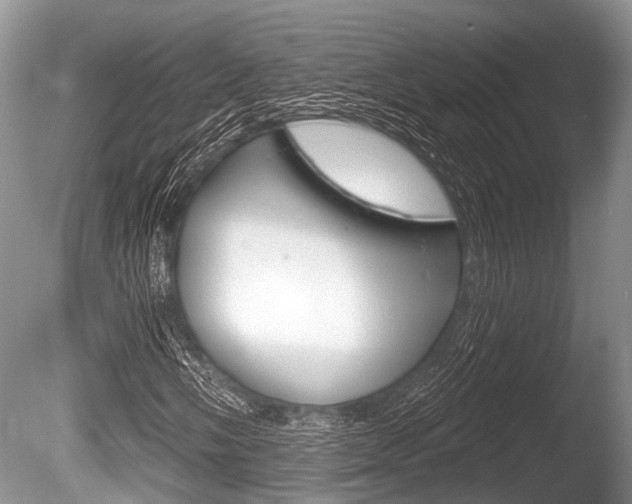 X0000086251058200703291029