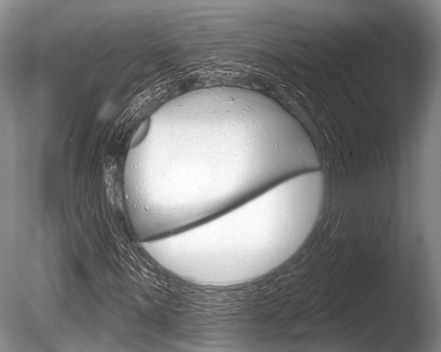 X0000086251059200703291029