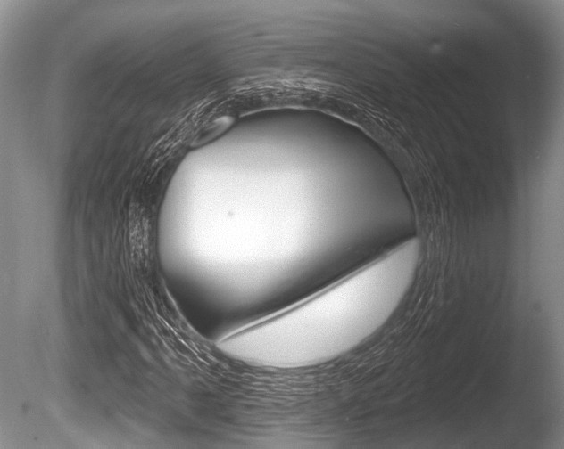 X0000086251061200703291029
