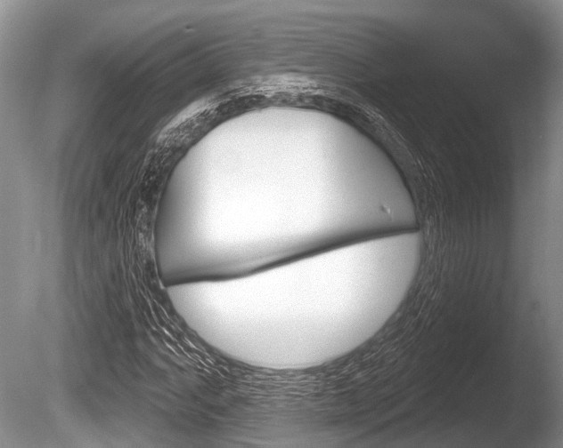 X0000086251063200703291029