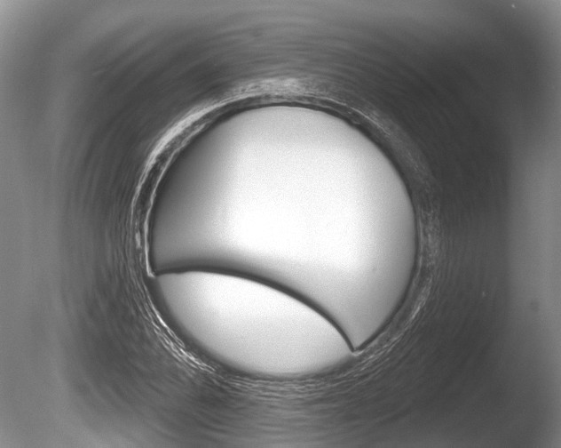 X0000086251070200703291029