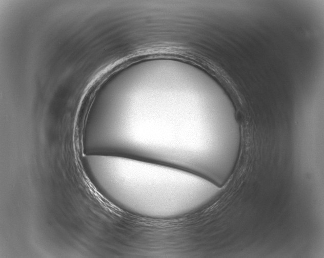 X0000086251072200703291029