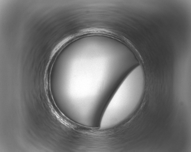 X0000086251082200703291029