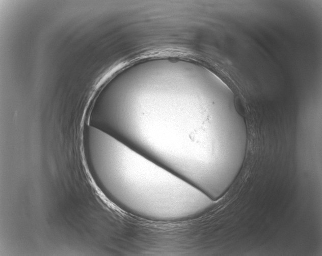 X0000086251087200703291029
