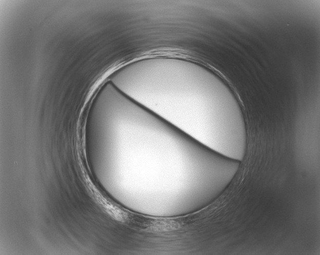 X0000086251091200703291029