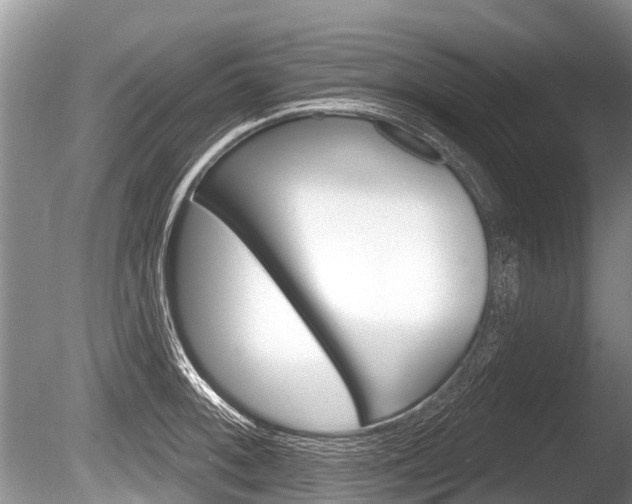 X0000086251092200703291029