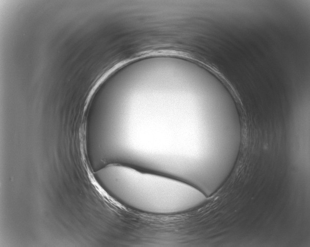 X0000086251100200703291029