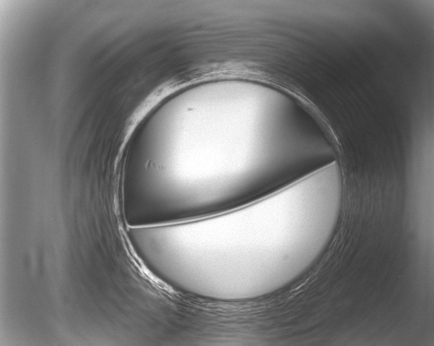 X0000086251102200703291029