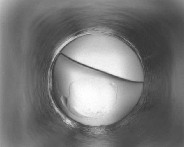 X0000086251103200703291029