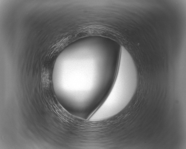 X0000086251108200703291028