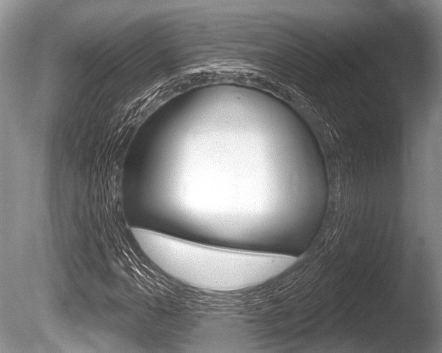 X0000086251110200703291028