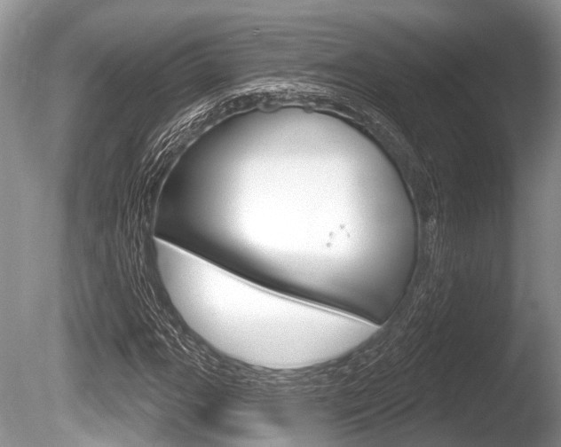 X0000086251111200703291028