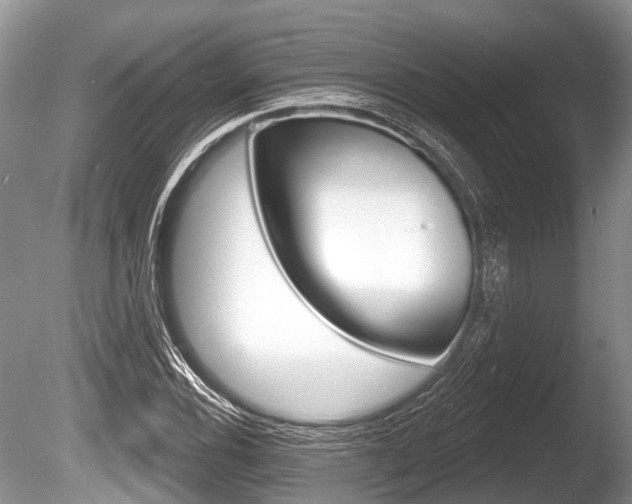 X0000086251116200703291028